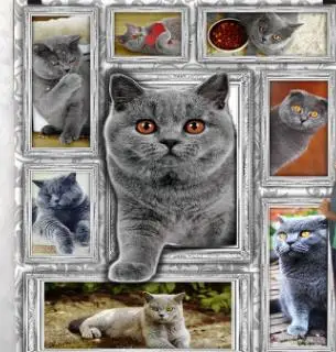 3D Dog Cat Printed Summer Quilt Blanket For Bed Twin Full/Queen King Size Customize - Цвет: 6