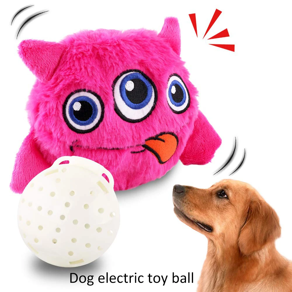 jumping dog toy