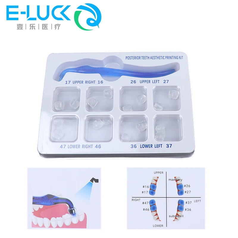 Dental Mold Kit, Posterior Teeth Aesthetic Printing Cure Tools Instruments