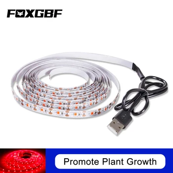 

Promotes the flowering and fruiting and growth of plant, the specific red light grows faster,treatment of various plant diseases