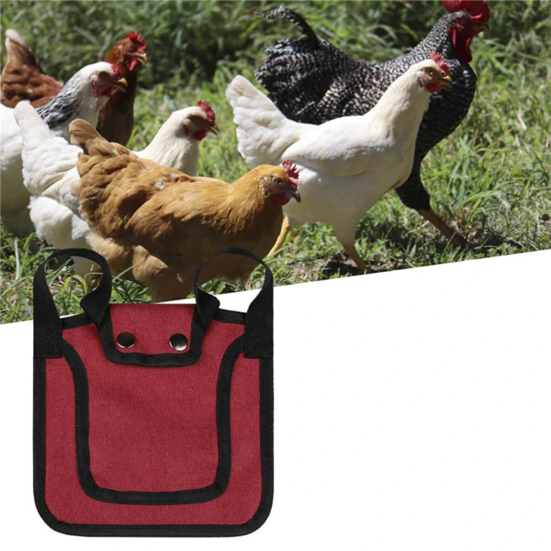Chicken Saddle Apron Hen Back Protection Backyard Poultry Chicken