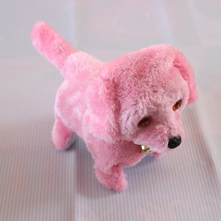 2861205322_748380050