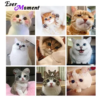 

Ever Moment Diamond Painting Animal Cat 5D Full Square Resin Drills Leisure At Home Handmade Embroidery Mosaic Decoration 3F2436