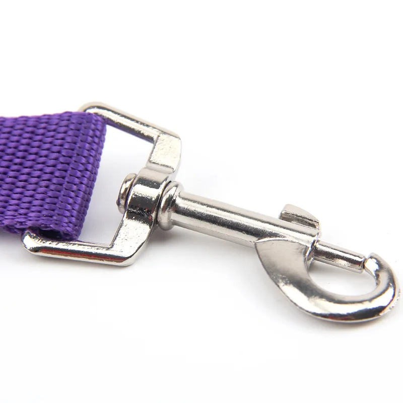 3068995585_1693295712