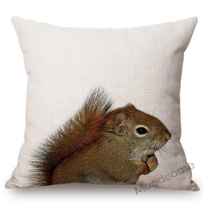 conew_t215 (3) 副本