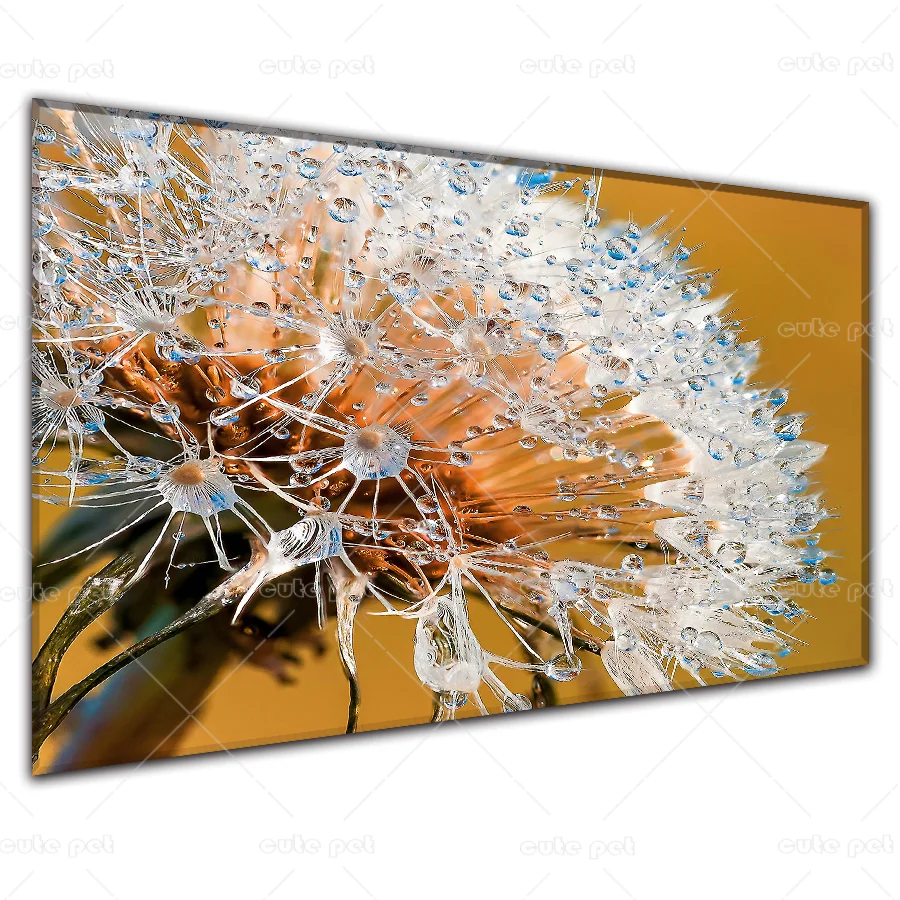 Ha16cd57a98434bfb84740acc46978e0bb