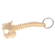 

Miniature Beige PVC Human Spine Skeleton Model Keychain Learning Tool