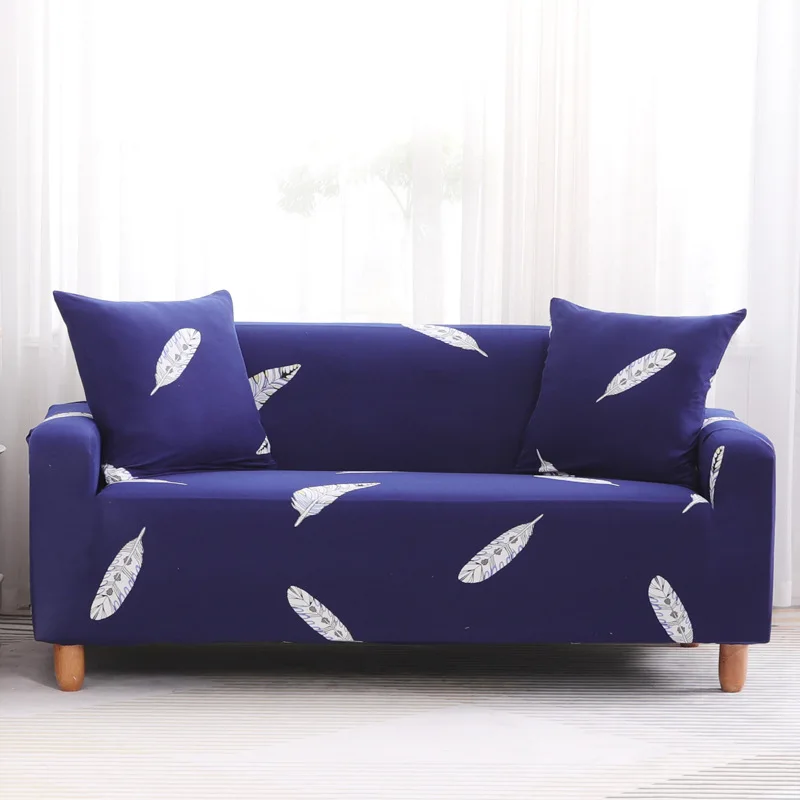 12584742868_1792857352