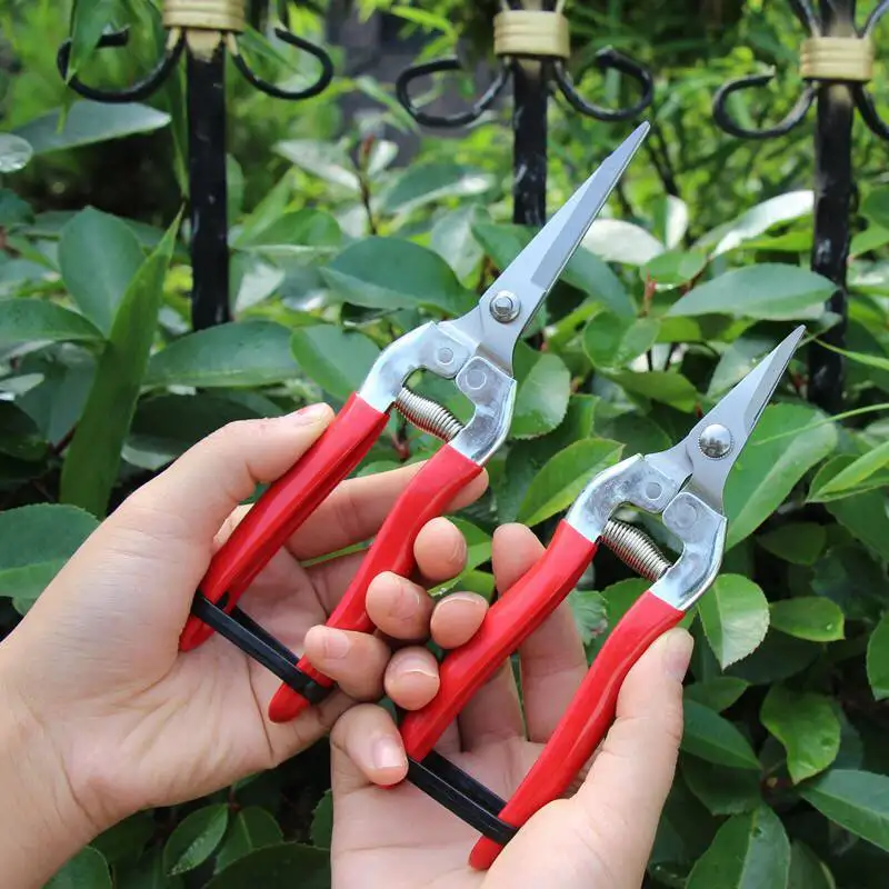 Professional Garden Tools Bonsai Scissors Secator Cutting Steel Bonsai Tool G… 