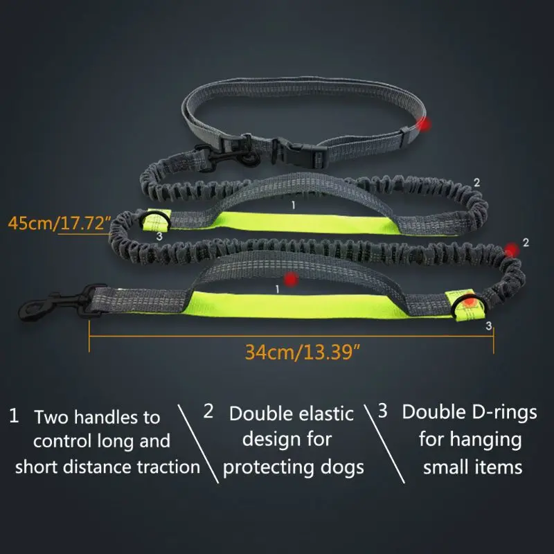 Multifunction Running Reflective Pull Dog Leash Double Elastic D-ring Pet Traction Rope