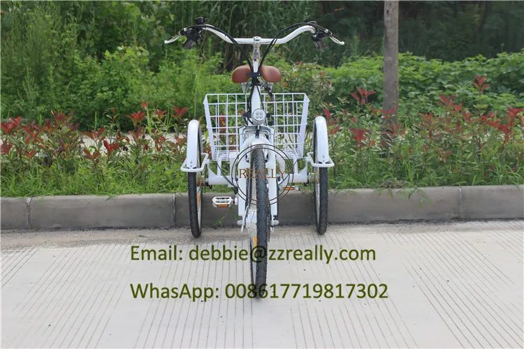 tricycle bike (4)