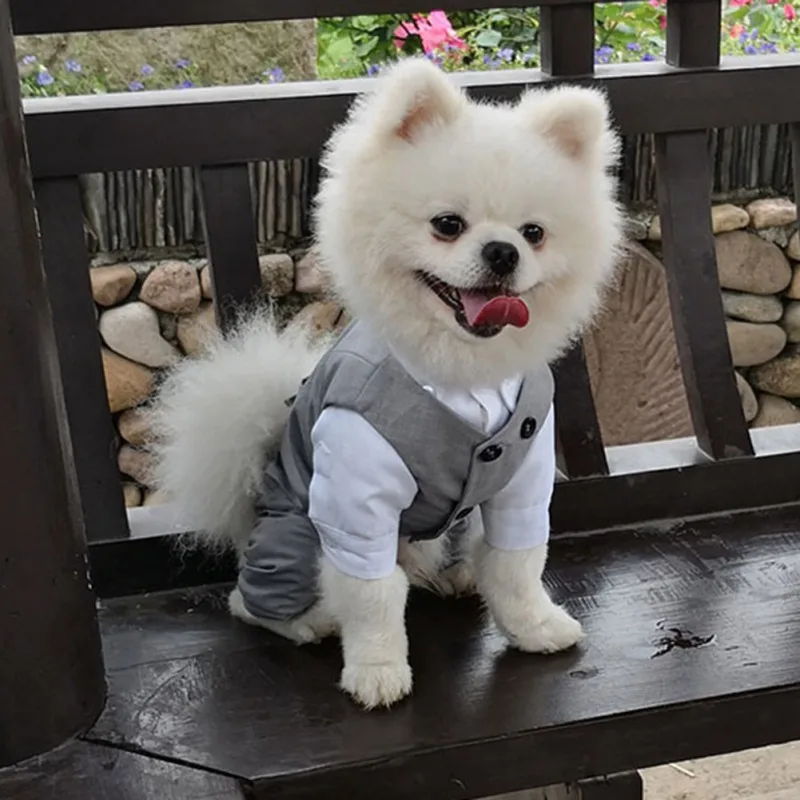 Abiti Per Animali Domestici Camicia Abito Gilet Gilet Elegante Per Cani Cuccioli Di Gatto Abito Da Festa Di Nozze Cani Da Compagnia Belli Abiti Da Cer