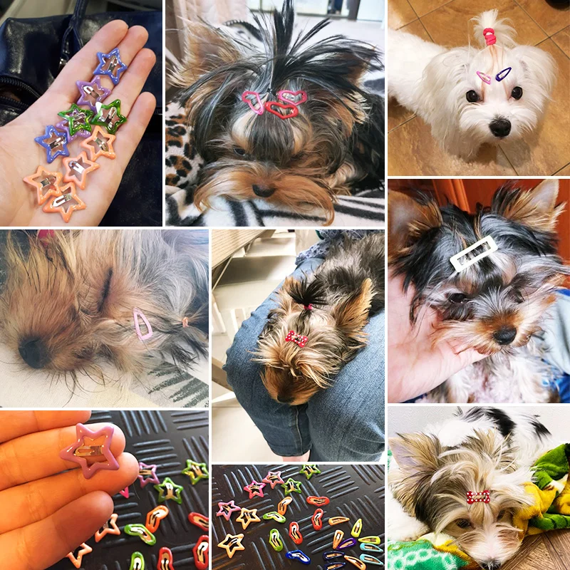 10pcs/lot Start Pet Dog Hairpin Mini 3cm Small Puppy Cat Hair Clips Accessories|accessories wholesale|accessories petaccessories vans |