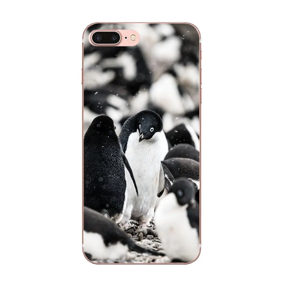 Arctic животное Пингвин типа «сделай сам» Красивые TPU мобильного телефона для Galaxy J1 J2 J3 J330 J4 J5 J6 J7 J730 J8 mini Pro