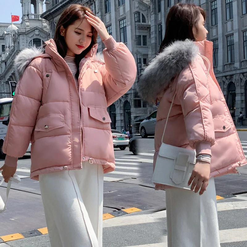 

Down Jacket Cotton-padded Clothes Women's 2019 New Style Winter Korean-style Coat Large Fur Collar down Coat Short Cotton-padded