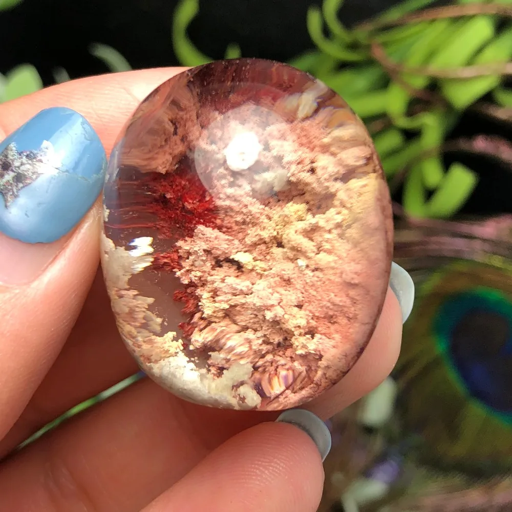 unique!Nature presents the formation of sunset forest, reiki healing beautiful process