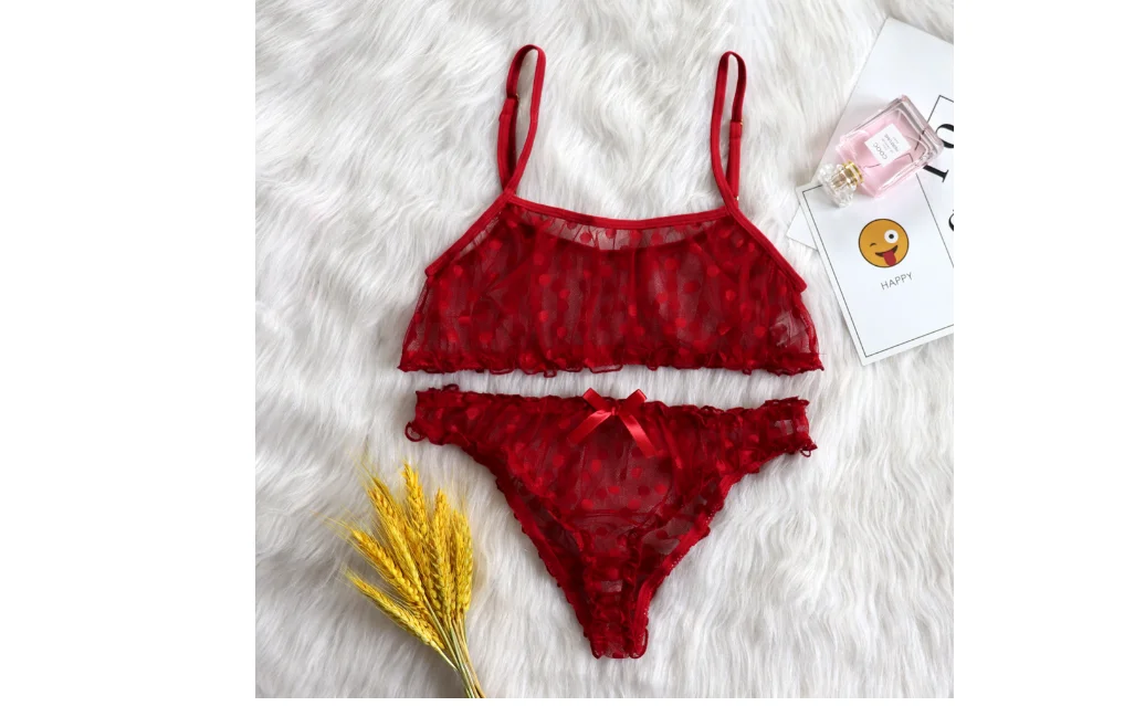 Sexy Lingerie Erotic Underwear Polka Dot Mesh Frill Trim Lace lingerie Set Top Lace Invisible Bra & Brief Set For Women_voghion.com