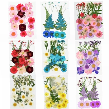 

Pressed Flowers Small Dried Flowers DIY Craft Scrapbooking Flower for Home Wedding Valentine Christmas Party Decor Mini Flores