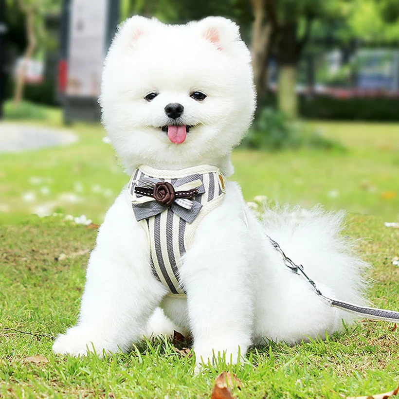 

Bow Tie Harness Mesh Kitten Puppy Jackets Pet Chest Strap Cat Dog Leash Breathable Vest Traction Rope Traction Pet Clothes