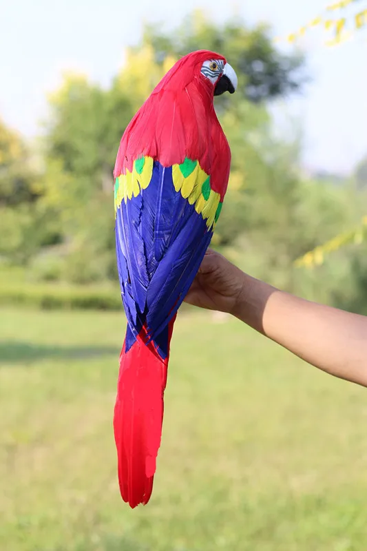 Пена-и-перья-птица-попугай-большие-60-см-цветные-красно-синие-перья-модель-попугай-украшение-для-сада-подарок-w0885