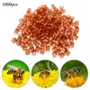 Garden Supplies