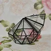 Minimalism Diamond shape Moss Glass Terrarium Black Geometric Glass Solder Terrarium Housing For Plants Home Decoration 4