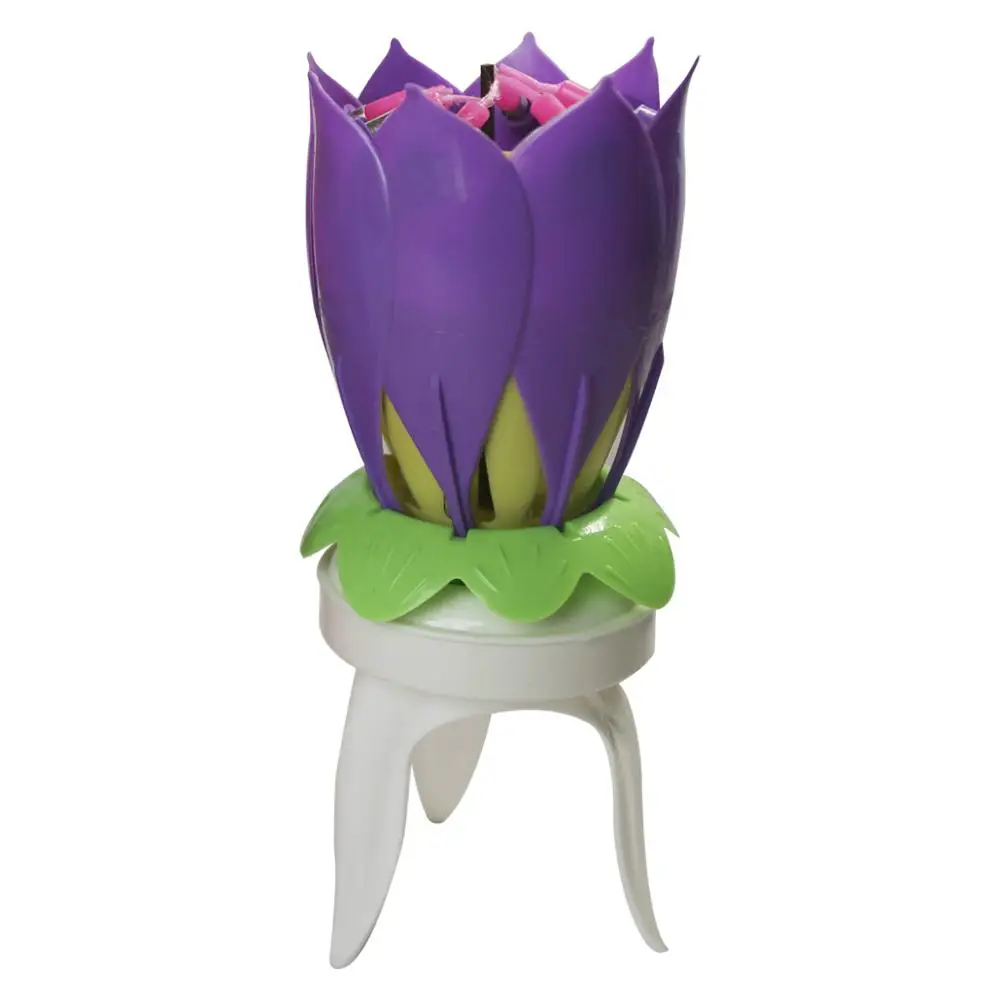 誕生日 キャンドル GROW&GROW 安い特注 インテリア・住まい・小物