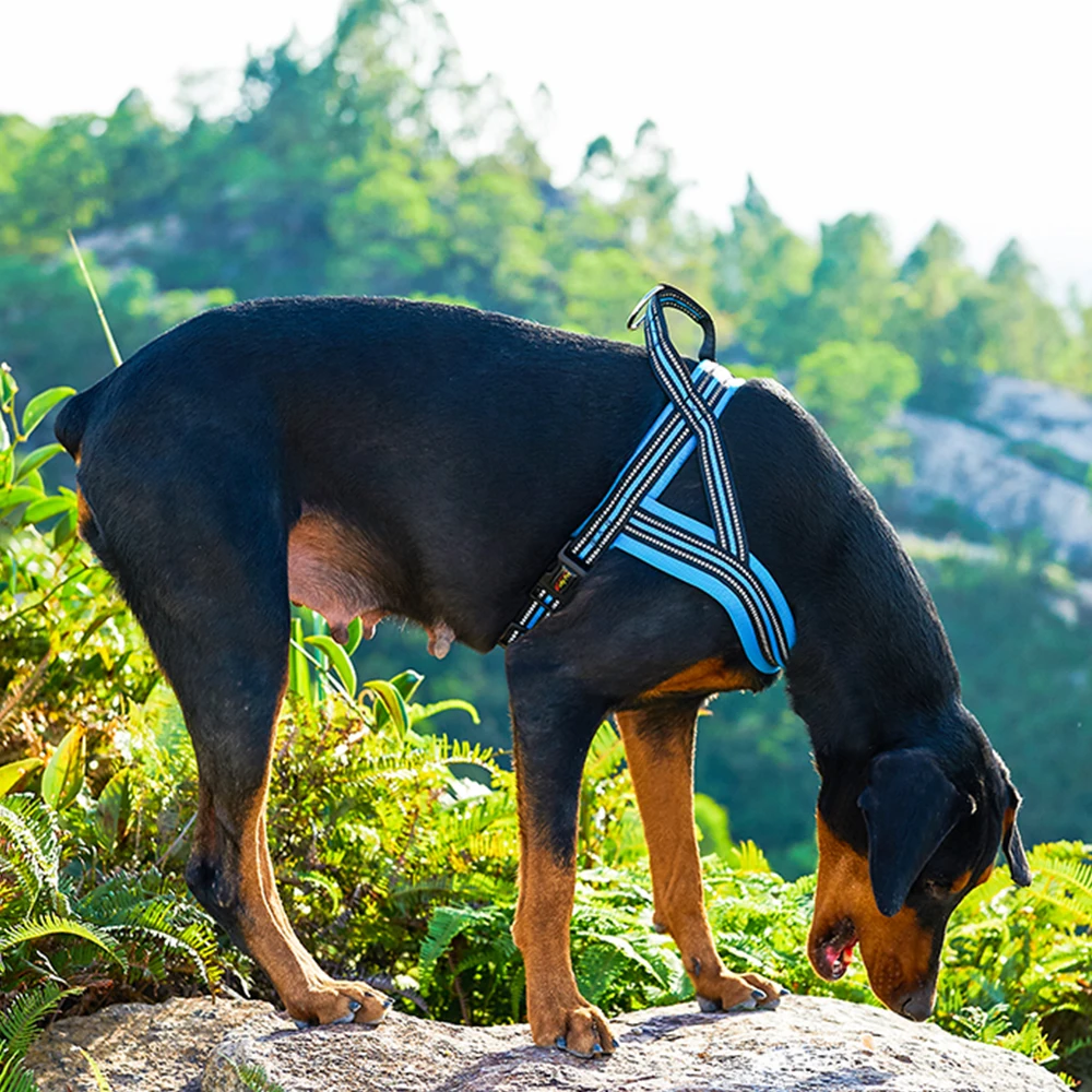 Pet Heavy Dog Harness Collar Pets Supplies Adjustable Reflective Security Harnesses Nylon Vest For Large Medium Small Dog
