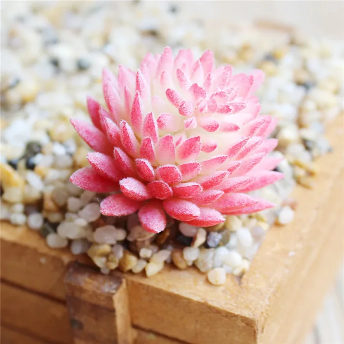 5 шт./упак. высокого качества имитация суккулентных растений мини Лотос для Декор для офисного стола фестиваль подарок искусственный цветок JH233 - Цвет: pink
