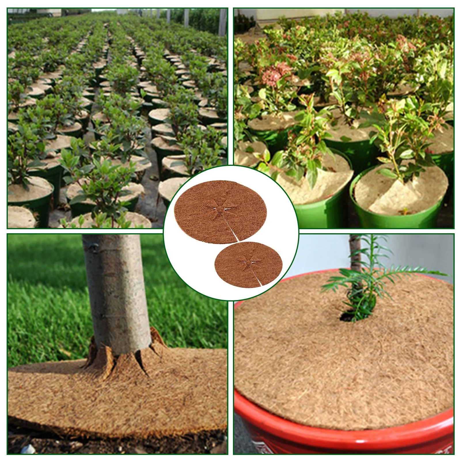 Кокосовая Сетка Для Клубники Купить