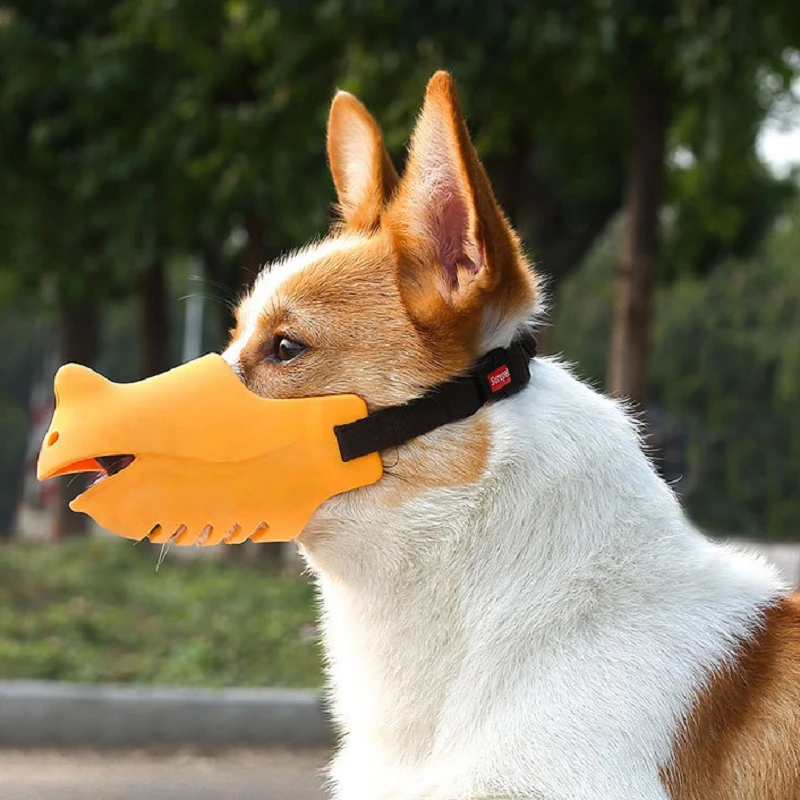 how long can a muzzle stay on a dog