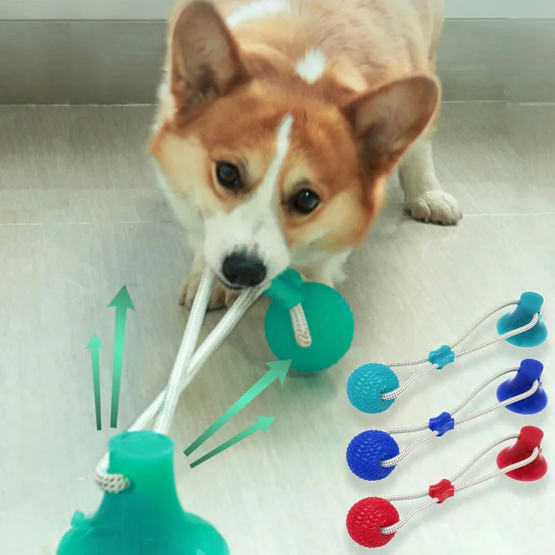 Dog Biting Toy Dog Push Toy Pet Toys Pet Toys Suction Cup Dog Toy