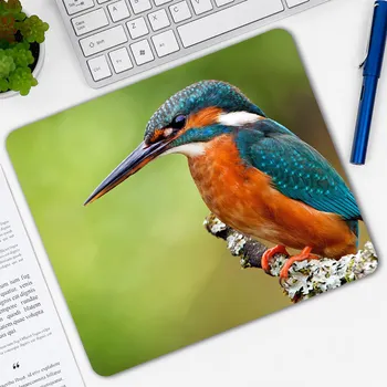 

Animal Bird Small Size 30X25X0.2CM Pc Tablet Gamer Computer Laptop Mouse Pad Mousepad Mice Mat Decorate Your Desk