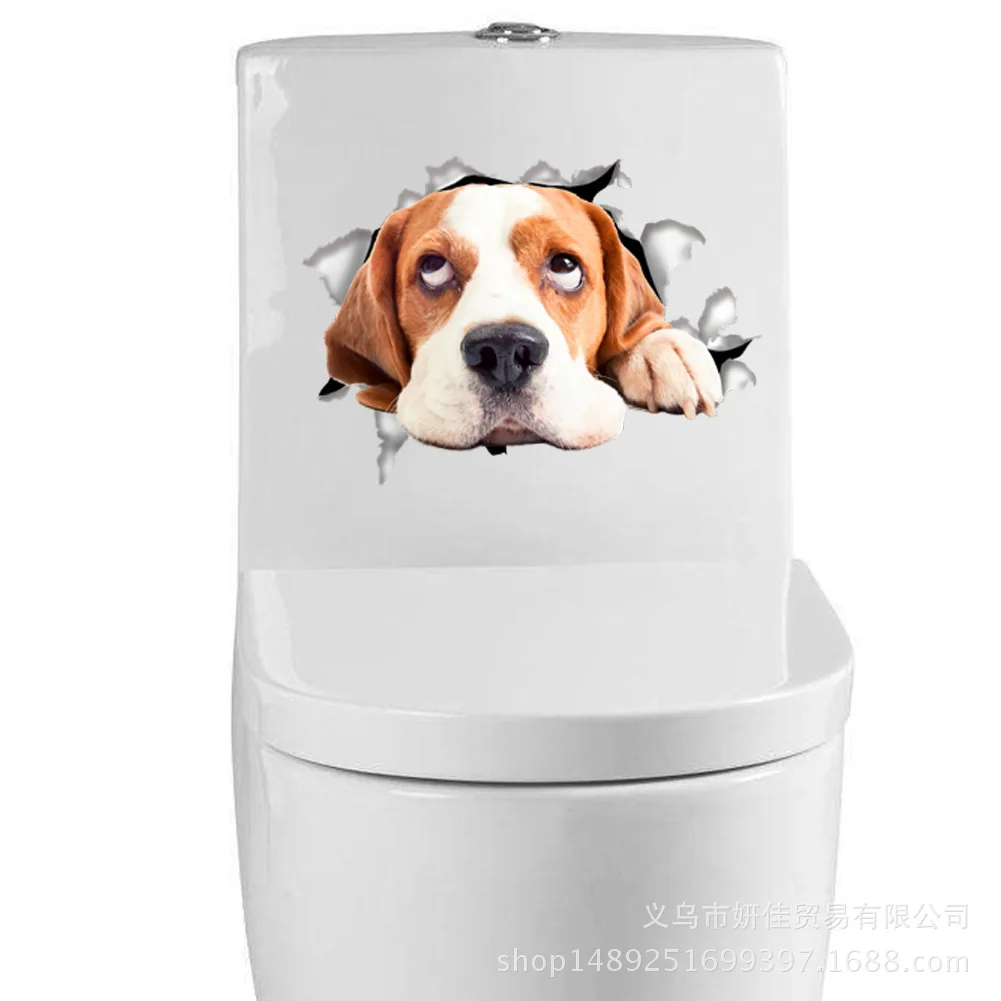 4071782633_896155306