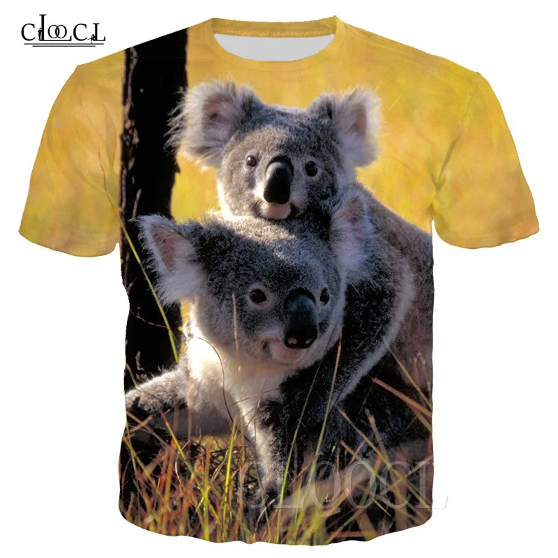 T Shirts (19)