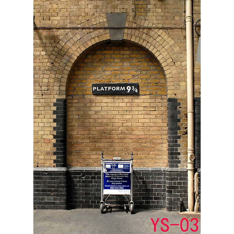 SHENGYONGBAO    , 9 3/4 ̼   ǰ, Ƽ õ  Ʃ  SS-9051