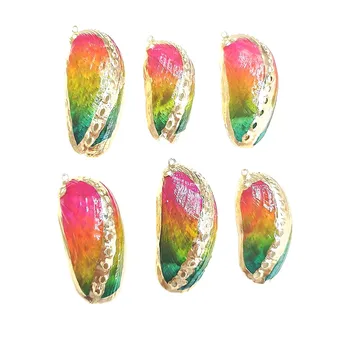 

Natural Shell Colorful Gold-plated Conch Shell Pendant Handmade DIY Necklace Pendant Jewelry Accessories