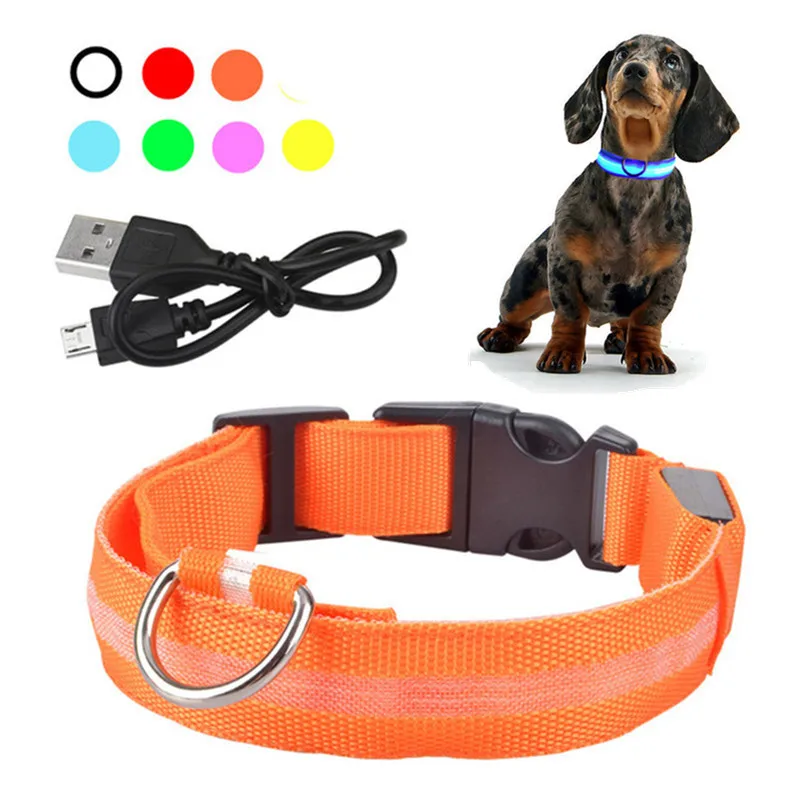 Collar con luces LED para perro, collar de luz recargable por USB, ideal para usar de noche al aire libre, accesorio de seguridad para mascota