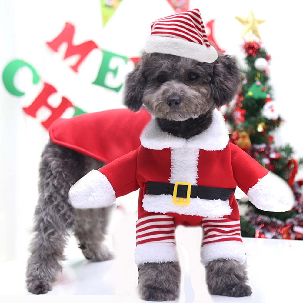 Ropa divertida de Navidad para mascotas, disfraz de Labrador Golden Retriever para perros suministros navideños para mascotas, accesorios perros, ropa bonita para perros|Monos y mamelucos| - AliExpress