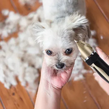 

1 Set Pet Clipper Safe USB Durable Electrical Haircut Machine Pet Clipper Grooming Tool Pet Supplies for Dog