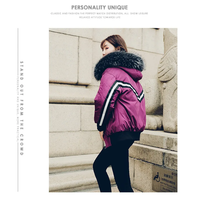 Off Season Small Cotton-Padded Jacket Women's Short New Style Korean-style down Jacket Cotton-padded Clothes Winter BF Stud