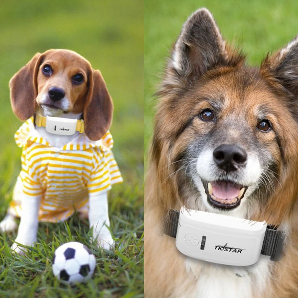 

TK909 Mini Global Locator Real Time Pet GPS Locators for Pet Dog and Cat GPS Collar Satellite Tracking