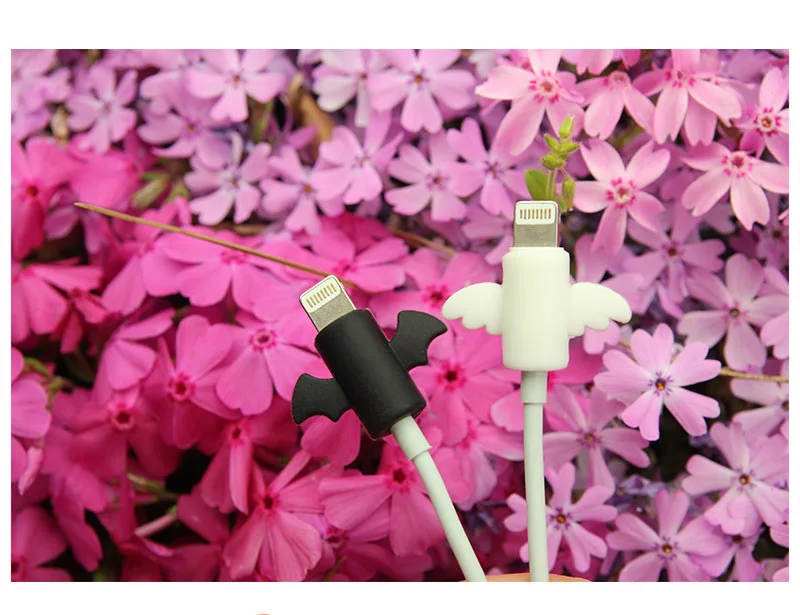 10915586512_2039239668