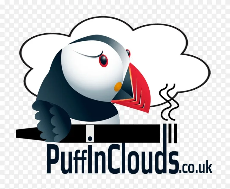 电子烟气雾剂和液体零售泡芙云烟草产品说明书 泡芙png图片素材免费下载 图片编号5041787 Png素材网