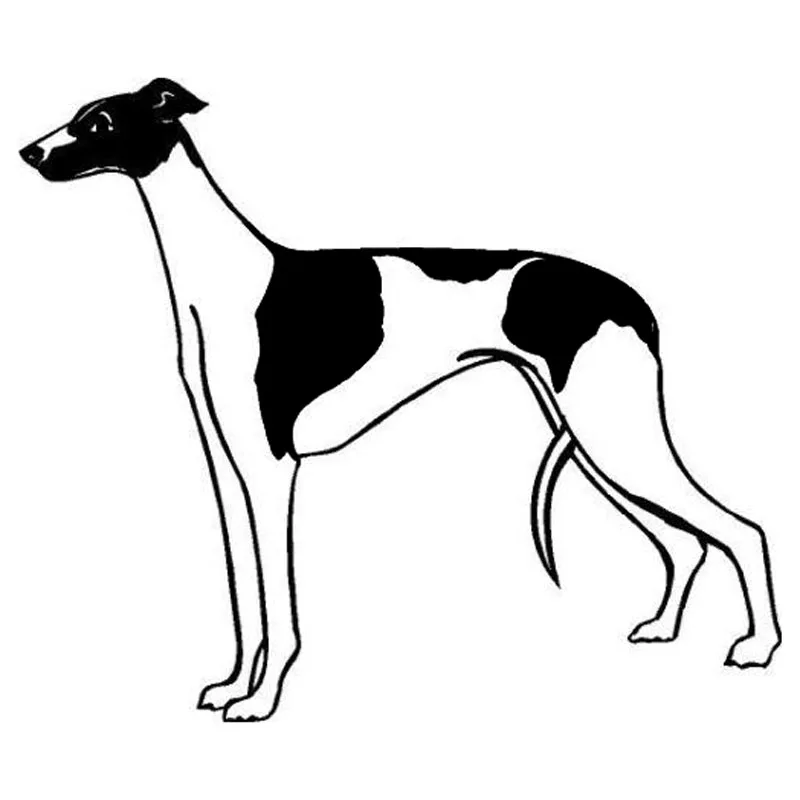 

Creative Greyhound Dog Car Sticker Accessories Vinyl PVC 15cm*13cm Motorcycle Car Styling Decal