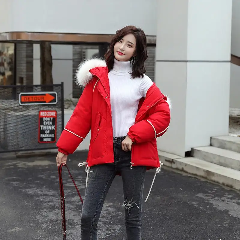 ##BUY 2019 Short Simple Lines Women Winter Jacket Cotton Padded Warm Thicken Big Fur Collar Ladies Short Coats Parka Womens Jackets