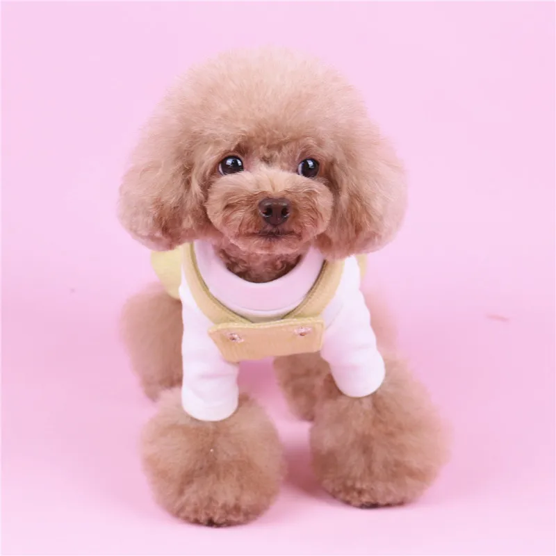 cute puppy jumpsuit (17)