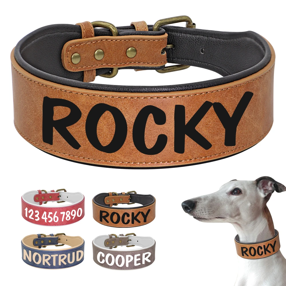 Wide personalized dog collars Clearance