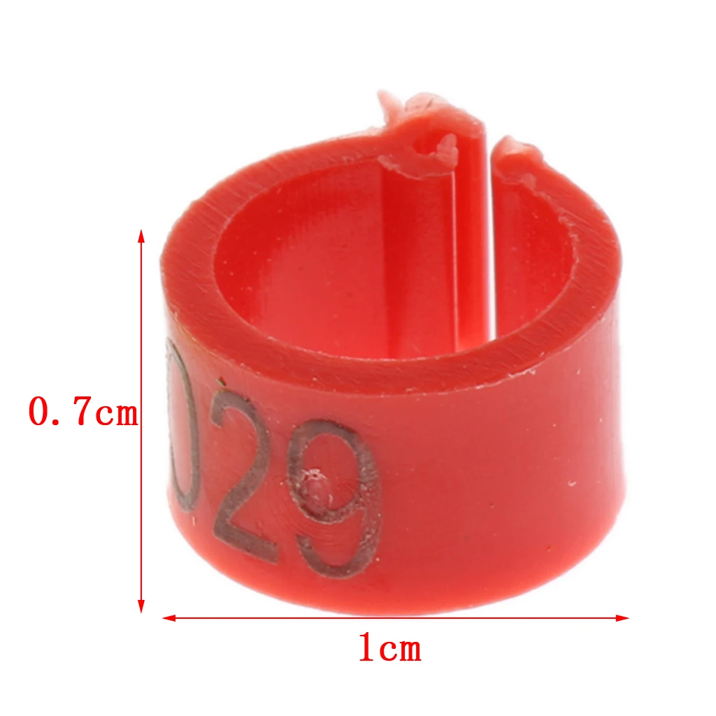 50 Pcs Identification Pigeons Band Bayonet Identification Ring Parrot Bird Opening Pigeon Foot Rings Supplies Bird Appliances