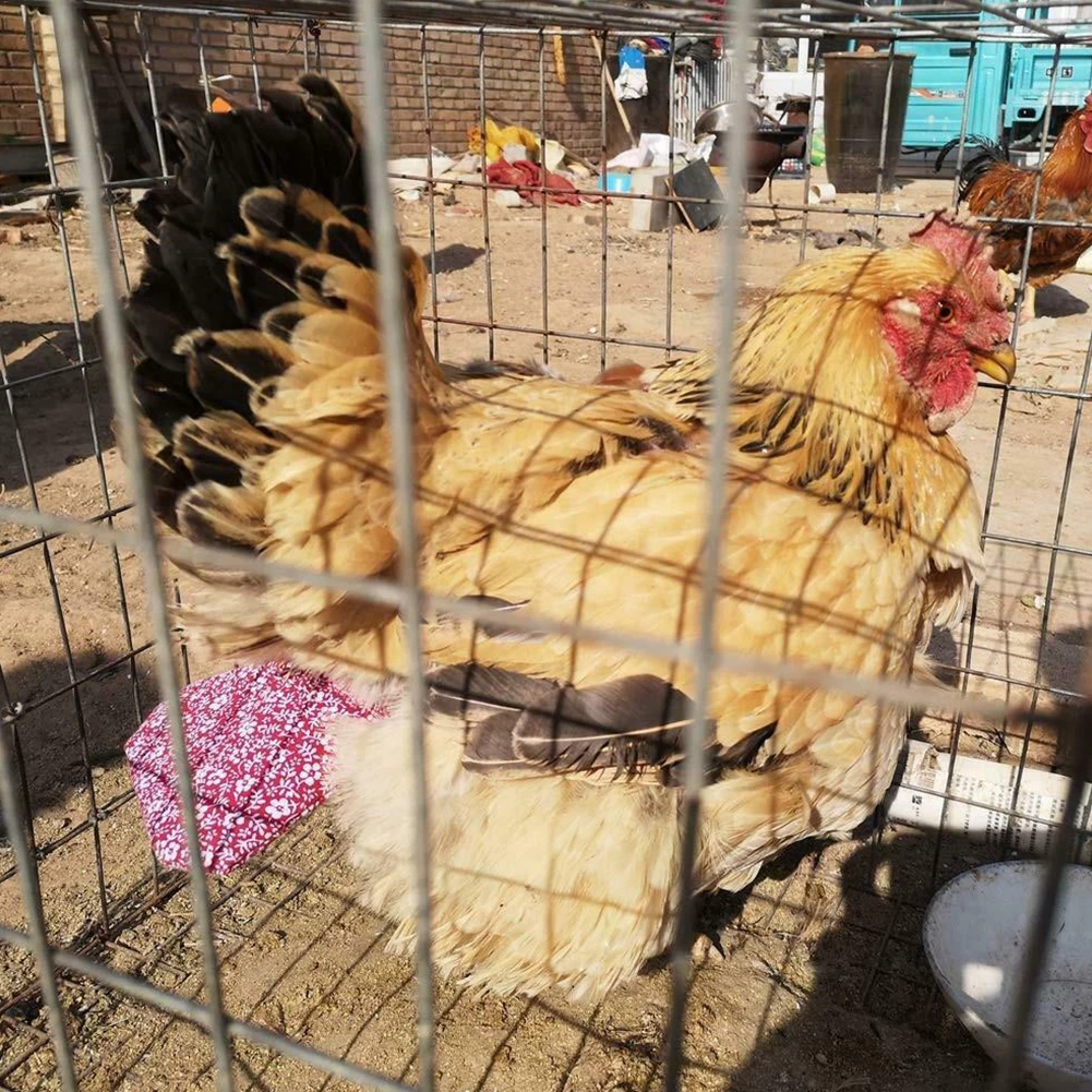 Чистый герметичный Defecation регулируемый подгузник костюм-надувная курица на Рождество мягкая гусиная птица моющаяся утка портативная пеленка для животных